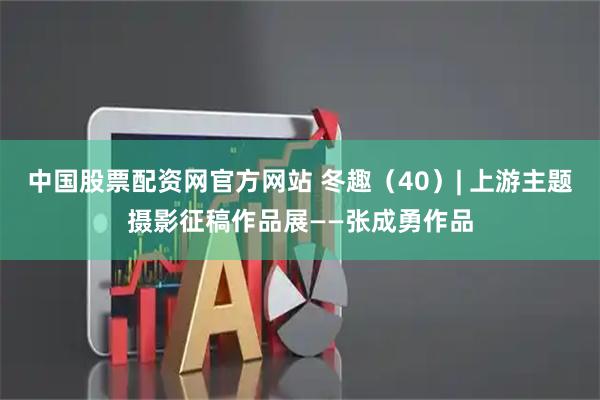 中国股票配资网官方网站 冬趣（40）| 上游主题摄影征稿作品展——张成勇作品