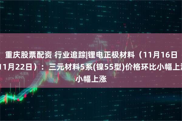重庆股票配资 行业追踪|锂电正极材料（11月16日-11月22日）：三元材料5系(镍55型)价格环比小幅上涨