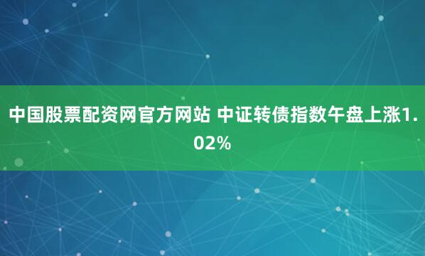 中国股票配资网官方网站 中证转债指数午盘上涨1.02%